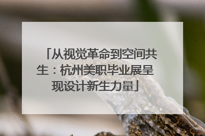 从视觉革命到空间共生：杭州美职毕业展呈现设计新生力量