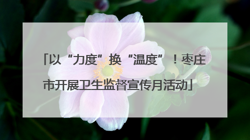 以“力度”换“温度”！枣庄市开展卫生监督宣传月活动