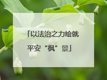 以法治之力绘就平安“枫”景