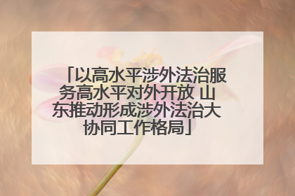 以高水平涉外法治服务高水平对外开放 山东推动形成涉外法治大协同工作格局