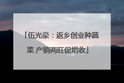 伍光豪：返乡创业种蔬菜 产销两旺促增收