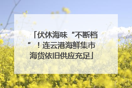 伏休海味“不断档”！连云港海鲜集市海货依旧供应充足