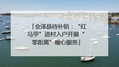 会泽县待补镇：“红马甲”进村入户开展“零距离”暖心服务