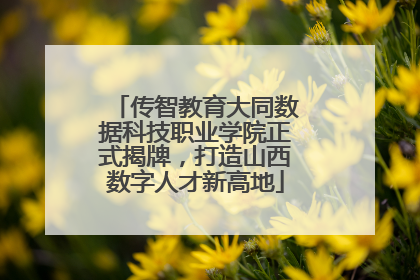 传智教育大同数据科技职业学院正式揭牌，打造山西数字人才新高地