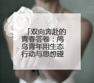 双向奔赴的青春答卷：鸬鸟青年用生态行动与思想碰撞书写乡村未来
