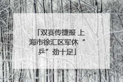 双赛传捷报 上海市徐汇区军休“乒”劲十足