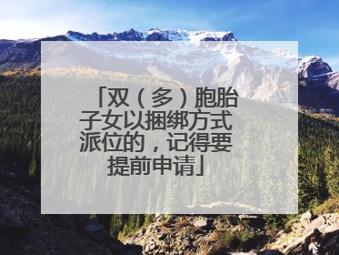 双（多）胞胎子女以捆绑方式派位的，记得要提前申请