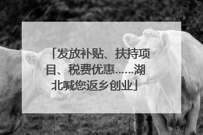发放补贴、扶持项目、税费优惠……湖北喊您返乡创业