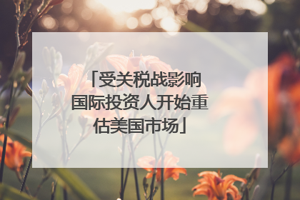 受关税战影响 国际投资人开始重估美国市场