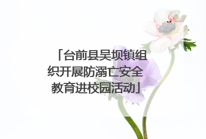 台前县吴坝镇组织开展防溺亡安全教育进校园活动