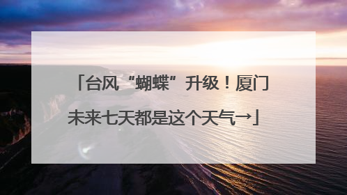 台风“蝴蝶”升级！厦门未来七天都是这个天气→
