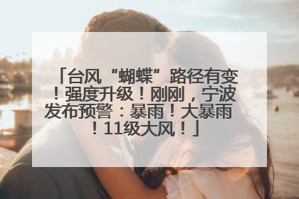 台风“蝴蝶”路径有变！强度升级！刚刚，宁波发布预警：暴雨！大暴雨！11级大风！