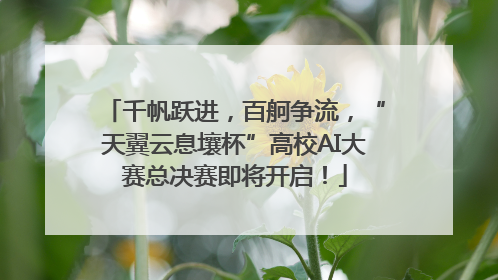 千帆跃进，百舸争流，“天翼云息壤杯”高校AI大赛总决赛即将开启！