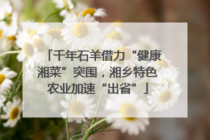 千年石羊借力“健康湘菜”突围，湘乡特色农业加速“出省”
