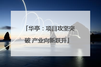 华亭：项目攻坚突破 产业向新跃升