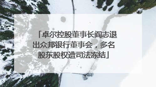 卓尔控股董事长阎志退出众邦银行董事会，多名股东股权遭司法冻结
