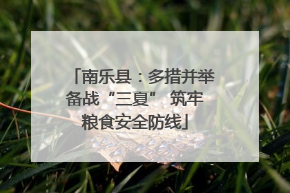 南乐县：多措并举备战“三夏” 筑牢粮食安全防线