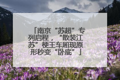 南京“苏超”专列启程，“散装江苏”梗王车厢现原形秒变“卧底”