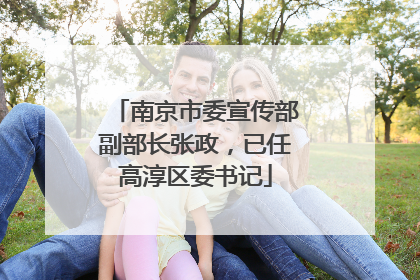 南京市委宣传部副部长张政，已任高淳区委书记