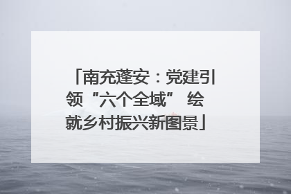 南充蓬安：党建引领“六个全域” 绘就乡村振兴新图景
