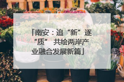 南安：追“新”逐“质” 共绘两岸产业融合发展新篇