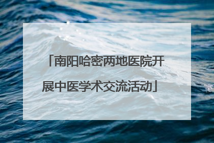 南阳哈密两地医院开展中医学术交流活动