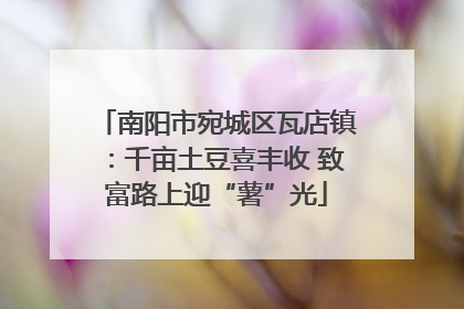 南阳市宛城区瓦店镇：千亩土豆喜丰收 致富路上迎“薯”光