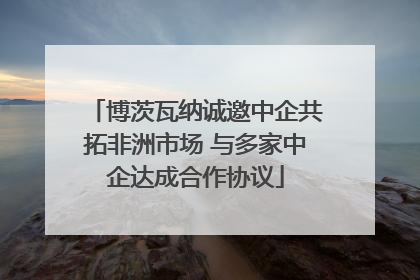 博茨瓦纳诚邀中企共拓非洲市场 与多家中企达成合作协议