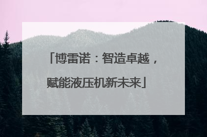 博雷诺：智造卓越，赋能液压机新未来