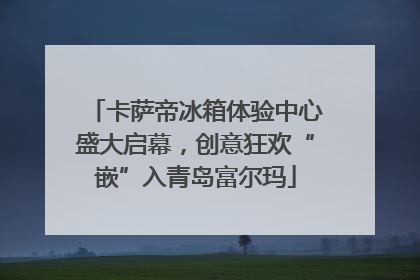 卡萨帝冰箱体验中心盛大启幕，创意狂欢“嵌”入青岛富尔玛