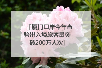 厦门口岸今年查验出入境旅客量突破200万人次