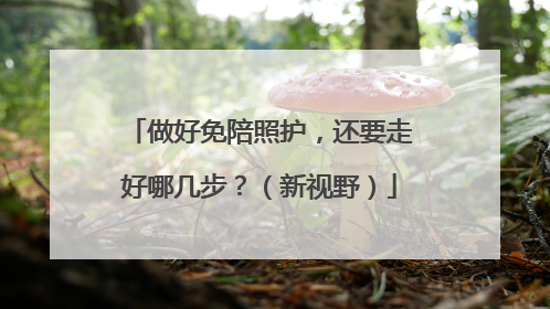 做好免陪照护，还要走好哪几步？（新视野）