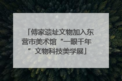 傅家遗址文物加入东营市美术馆“一眼千年”文物科技美学展