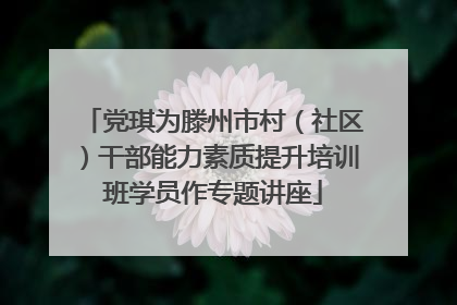 党琪为滕州市村（社区）干部能力素质提升培训班学员作专题讲座