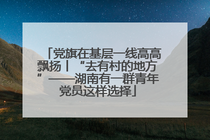 党旗在基层一线高高飘扬丨“去有村的地方”——湖南有一群青年党员这样选择