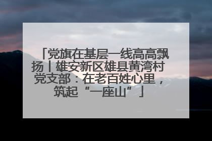 党旗在基层一线高高飘扬丨雄安新区雄县黄湾村党支部：在老百姓心里，筑起“一座山”