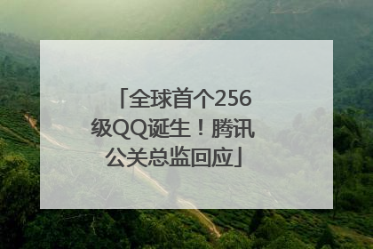 全球首个256级QQ诞生！腾讯公关总监回应
