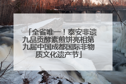 全省唯一！泰安非遗九品贡酵素煎饼亮相第九届中国成都国际非物质文化遗产节