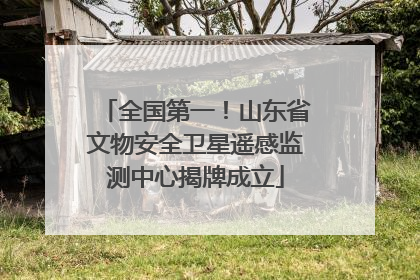 全国第一！山东省文物安全卫星遥感监测中心揭牌成立