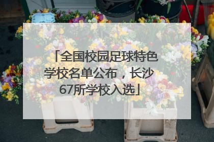 全国校园足球特色学校名单公布，长沙67所学校入选