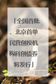 全国首批、北京首单民营创投机构科创债券将发行