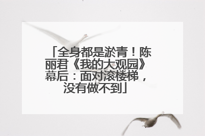 全身都是淤青！陈丽君《我的大观园》幕后：面对滚楼梯，没有做不到