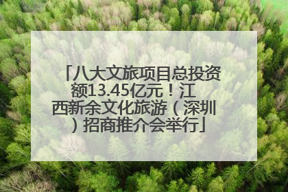 八大文旅项目总投资额13.45亿元！江西新余文化旅游（深圳）招商推介会举行