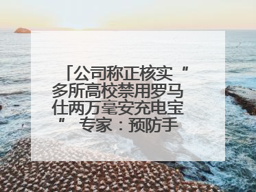 公司称正核实“多所高校禁用罗马仕两万毫安充电宝” 专家：预防手机没电选中等体积产品即可