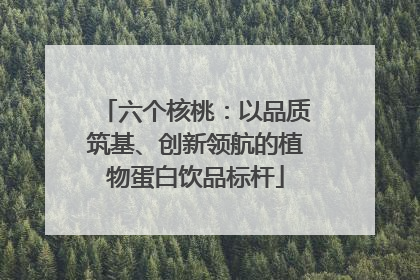 六个核桃：以品质筑基、创新领航的植物蛋白饮品标杆