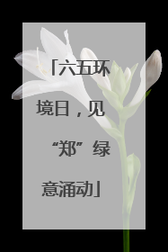 六五环境日，见“郑”绿意涌动