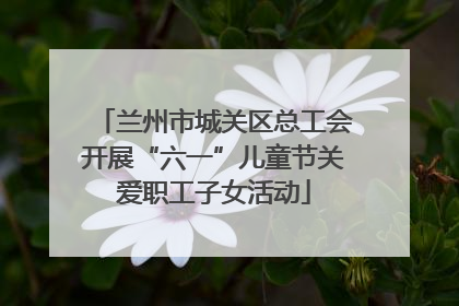 兰州市城关区总工会开展“六一”儿童节关爱职工子女活动