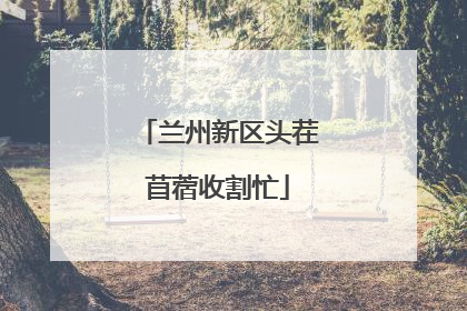 兰州新区头茬苜蓿收割忙