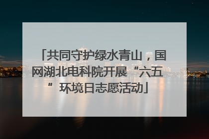共同守护绿水青山，国网湖北电科院开展“六五”环境日志愿活动