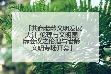 共商老龄文明发展大计 伦理与文明国际会议之伦理与老龄文明专场开幕